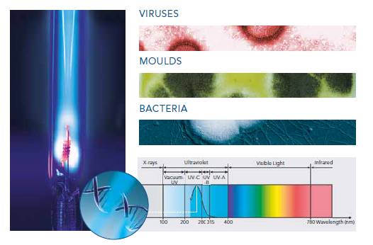 UV-C 1